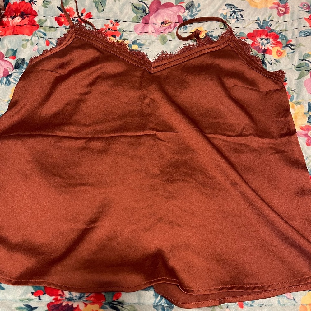 Abercrombie silk and lace cami (rust)